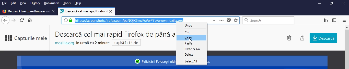 Copiere link cu screenshots